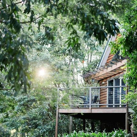 Shambala Eco Retreat Villa Tamborine Mountain Exterior photo