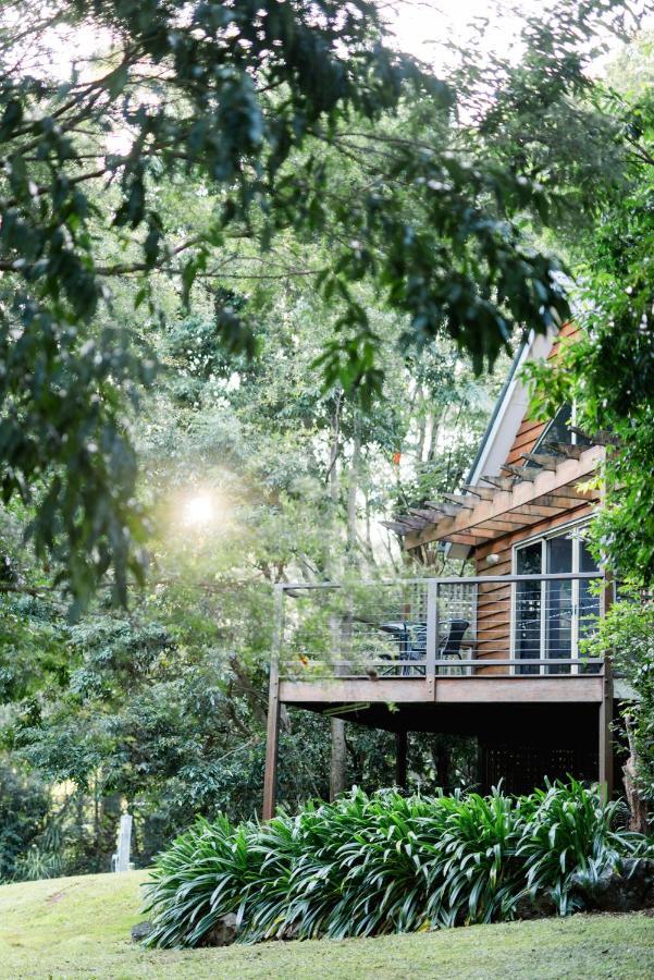 Shambala Eco Retreat Villa Tamborine Mountain Exterior photo